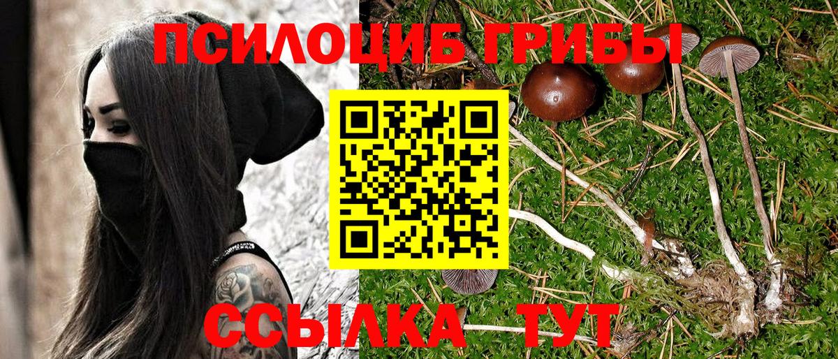 Псилоцибиновые грибы прущие грибы Краснодар